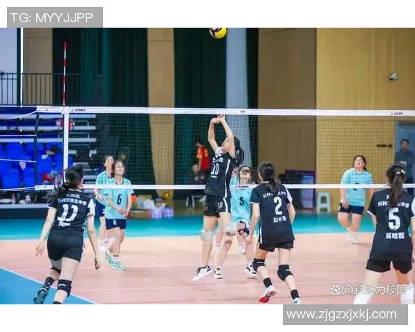 南京排球队在洲际杯中的灵活性表现引发热议与期待